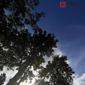 Z〇Z〇女人另类Z〇Z〇豆奶
